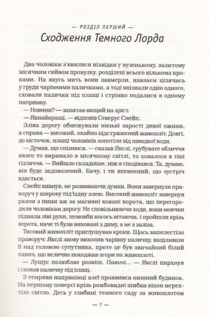 Гаррі Поттер і смертельні реліквії — изображение 3