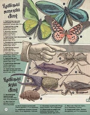 Найвища гора, найглибший океан — изображение 8