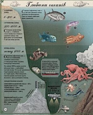 Найвища гора, найглибший океан — изображение 10