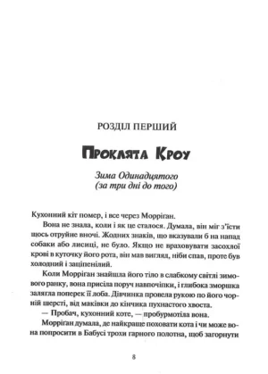 Невермур. Випробування Морріґан Кроу — изображение 5