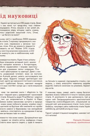 ПтахАбетка. Українські пернаті — изображение 4