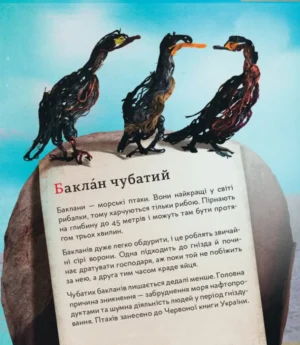 ПтахАбетка. Українські пернаті — изображение 8