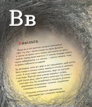 ПтахАбетка. Українські пернаті — изображение 9