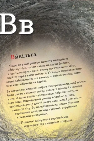 ПтахАбетка. Українські пернаті — изображение 9