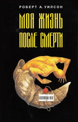 Моя жизнь после смерти