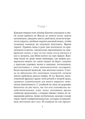 Обезьяна зимой — изображение 2