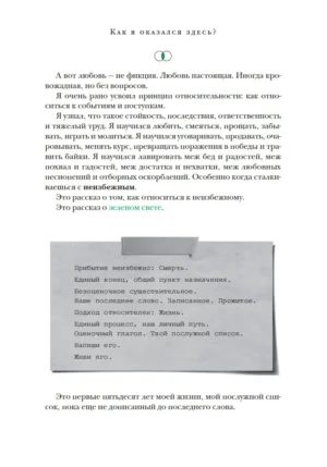 Зеленый свет — изображение 6