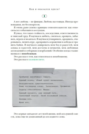 Зеленый свет — изображение 6