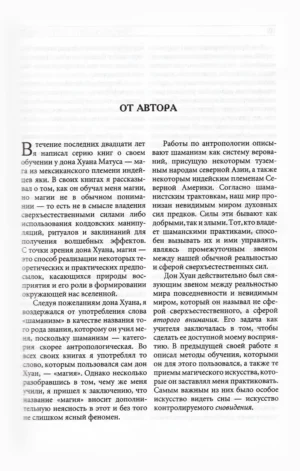 Том 3. Искусство сновидения. Активная сторона бесконечности. Колесо времени — изображение 6