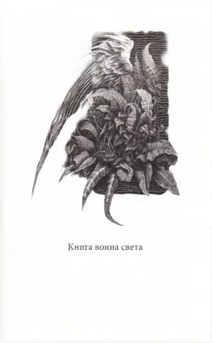 Книга воина света — изображение 10