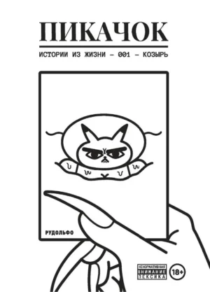 ПиКачок — изображение 2