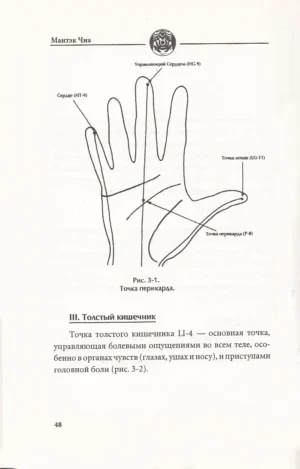 Самомассаж ЦИ. Даосский путь омоложения — изображение 5