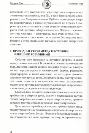 Слияние пяти стихий — изображение 10