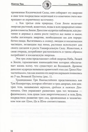 Слияние пяти стихий — изображение 12