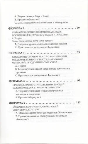Слияние пяти стихий — изображение 4