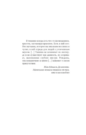 История тишины — изображение 2