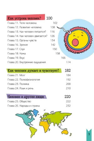 Как устроен человек? — изображение 6