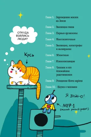 Как устроен человек? — изображение 8
