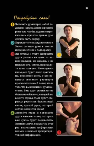Огурец на электрическом стуле. Опыты, заряжающие мозг — изображение 3