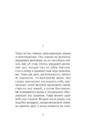 Окно — изображение 3