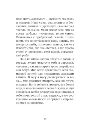 Окно — изображение 11
