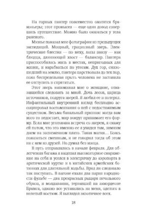 Снежная пантера — изображение 11