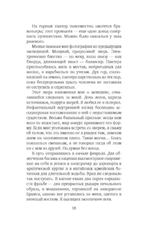 Снежная пантера — изображение 11