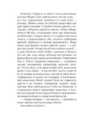 Снежная пантера — изображение 12
