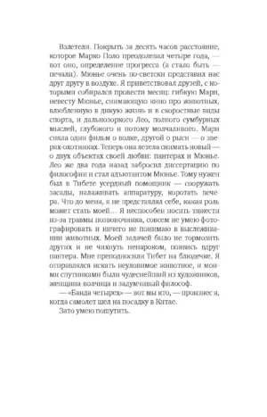 Снежная пантера — изображение 12