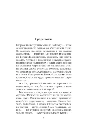 Снежная пантера — изображение 4