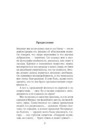 Снежная пантера — изображение 4