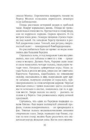 Снежная пантера — изображение 5