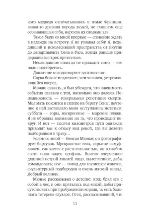 Снежная пантера — изображение 6