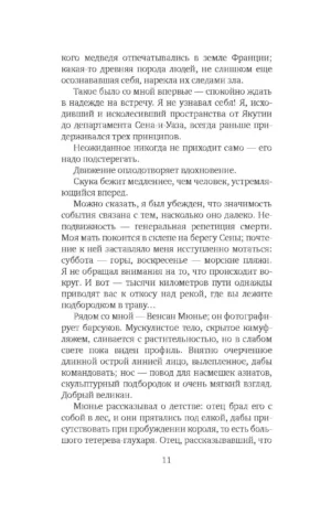 Снежная пантера — изображение 6