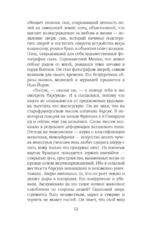 Снежная пантера — изображение 7
