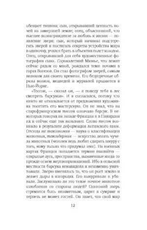 Снежная пантера — изображение 7