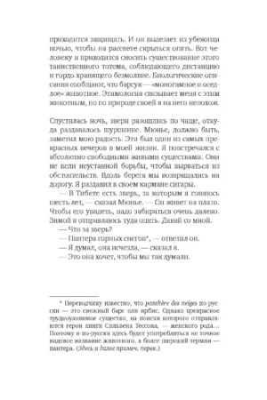 Снежная пантера — изображение 8
