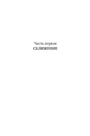 Снежная пантера — изображение 9