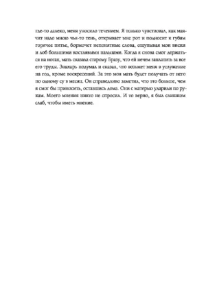 Узник Двенадцати провинций — изображение 6