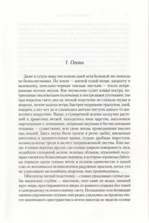 Шардик — изображение 5