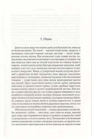 Шардик — изображение 5