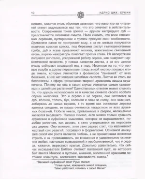 Суфии — изображение 9